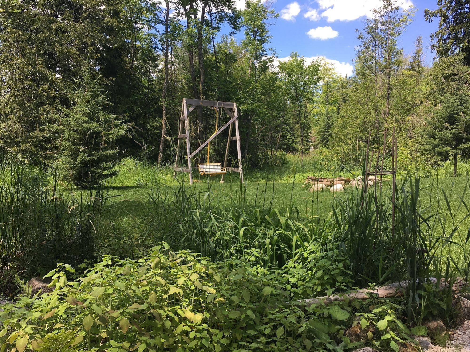 The Treehouse Bed And Breakfast Flesherton 外观 照片